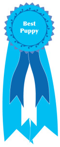 Best-Puppy-Ribbon